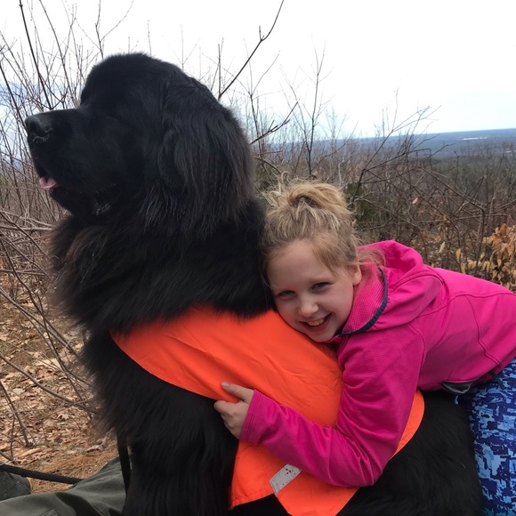 Meet your Posher, SjC - Picture 9 of 16